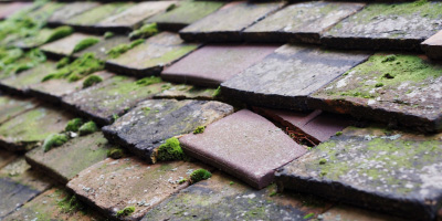 Maindy roof repair costs